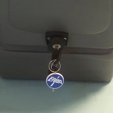 Load image into Gallery viewer, Retro Caravan Gas Locker Bottle Cover Box (Fibreglass including lock)